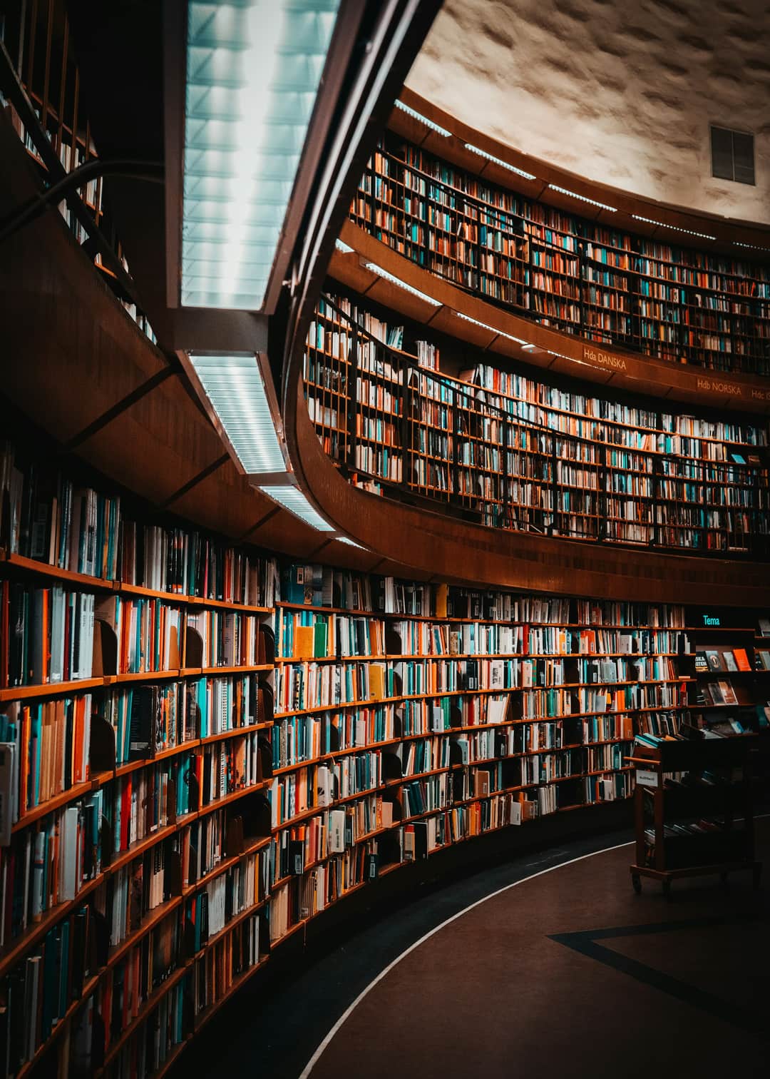 Bibliothèque de droit, ambiance d’étude éditoriale.